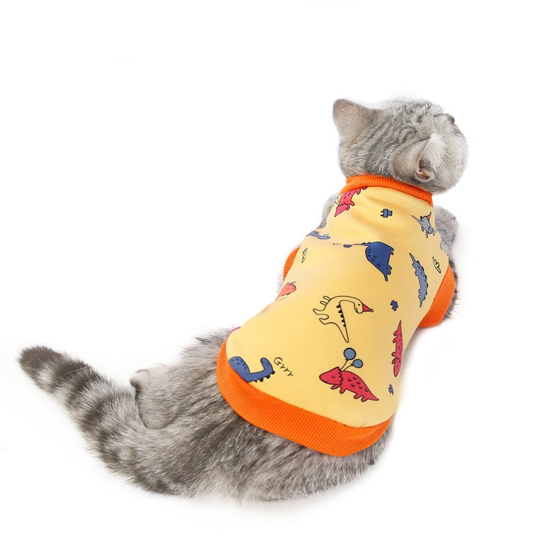 Dinosaur Clothes for Cats
