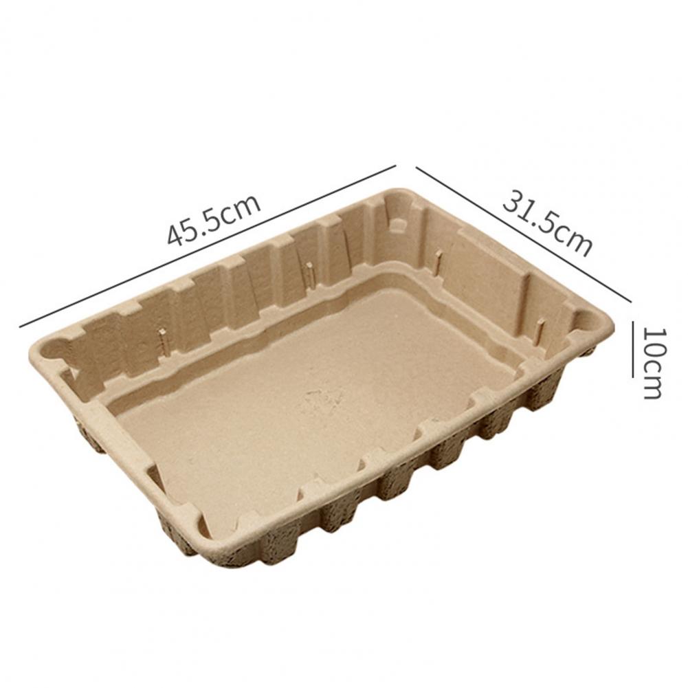 Disposable Cat Litter Box