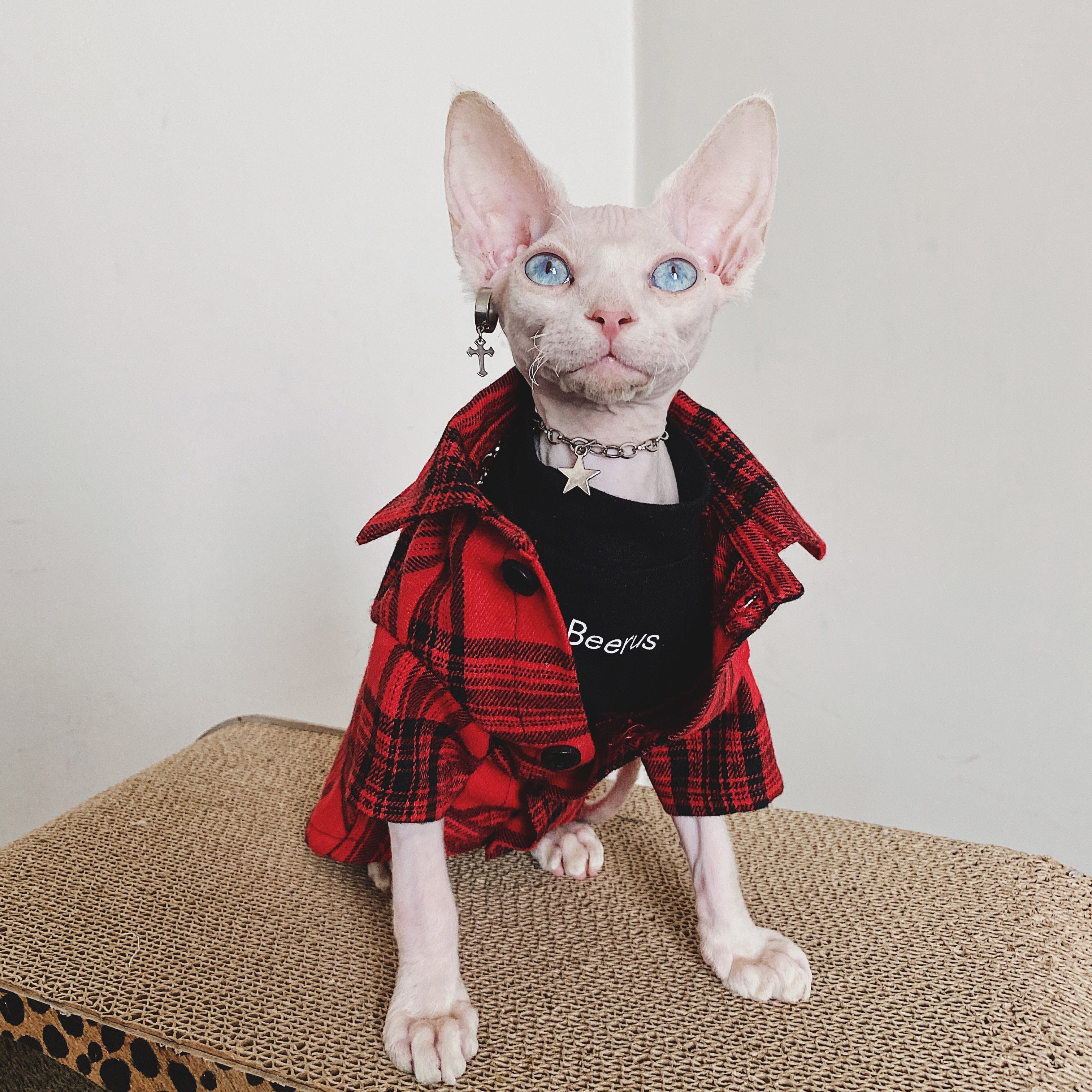 Flannel Shirt for Cat