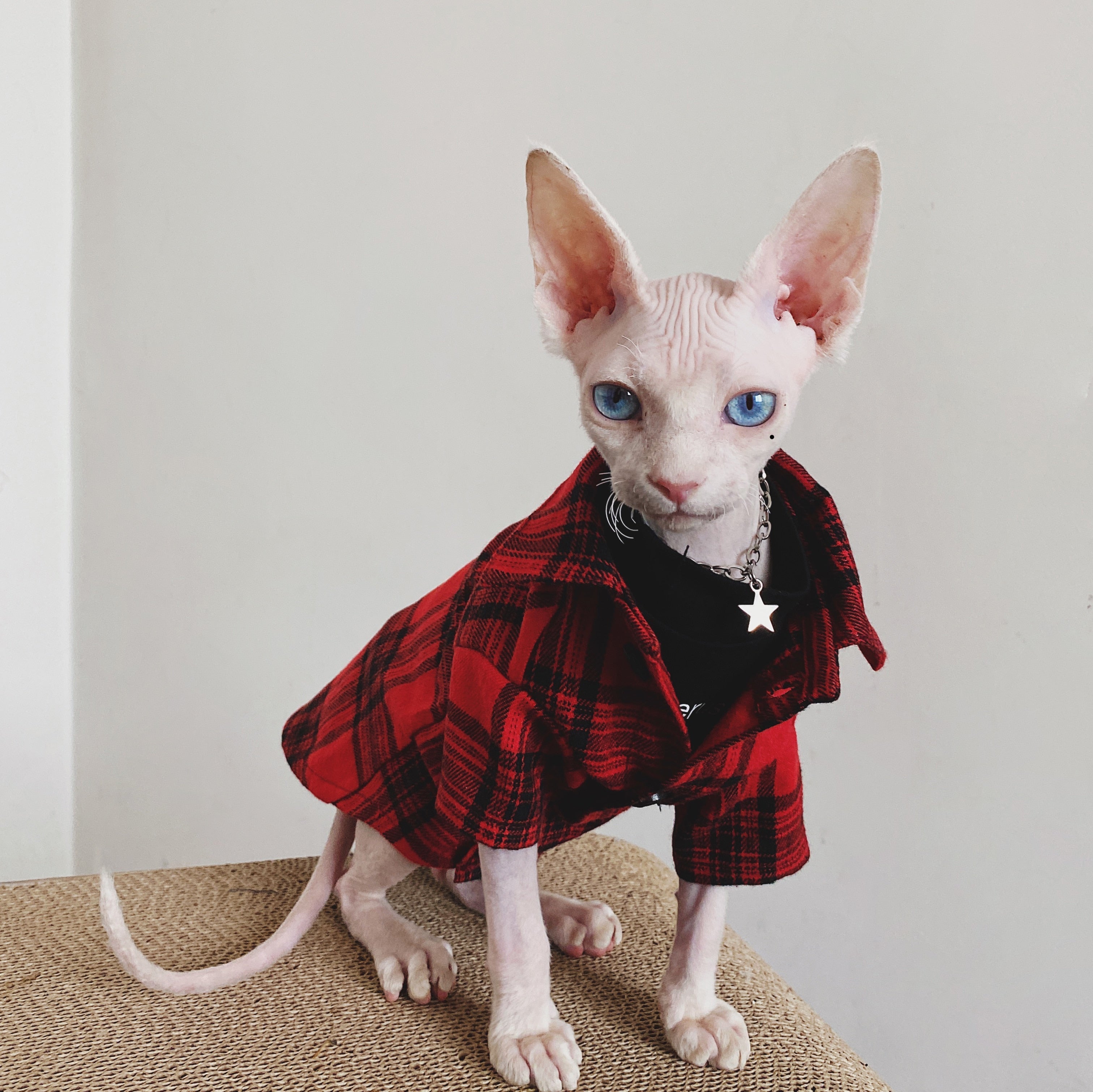 Flannel Shirt for Cat