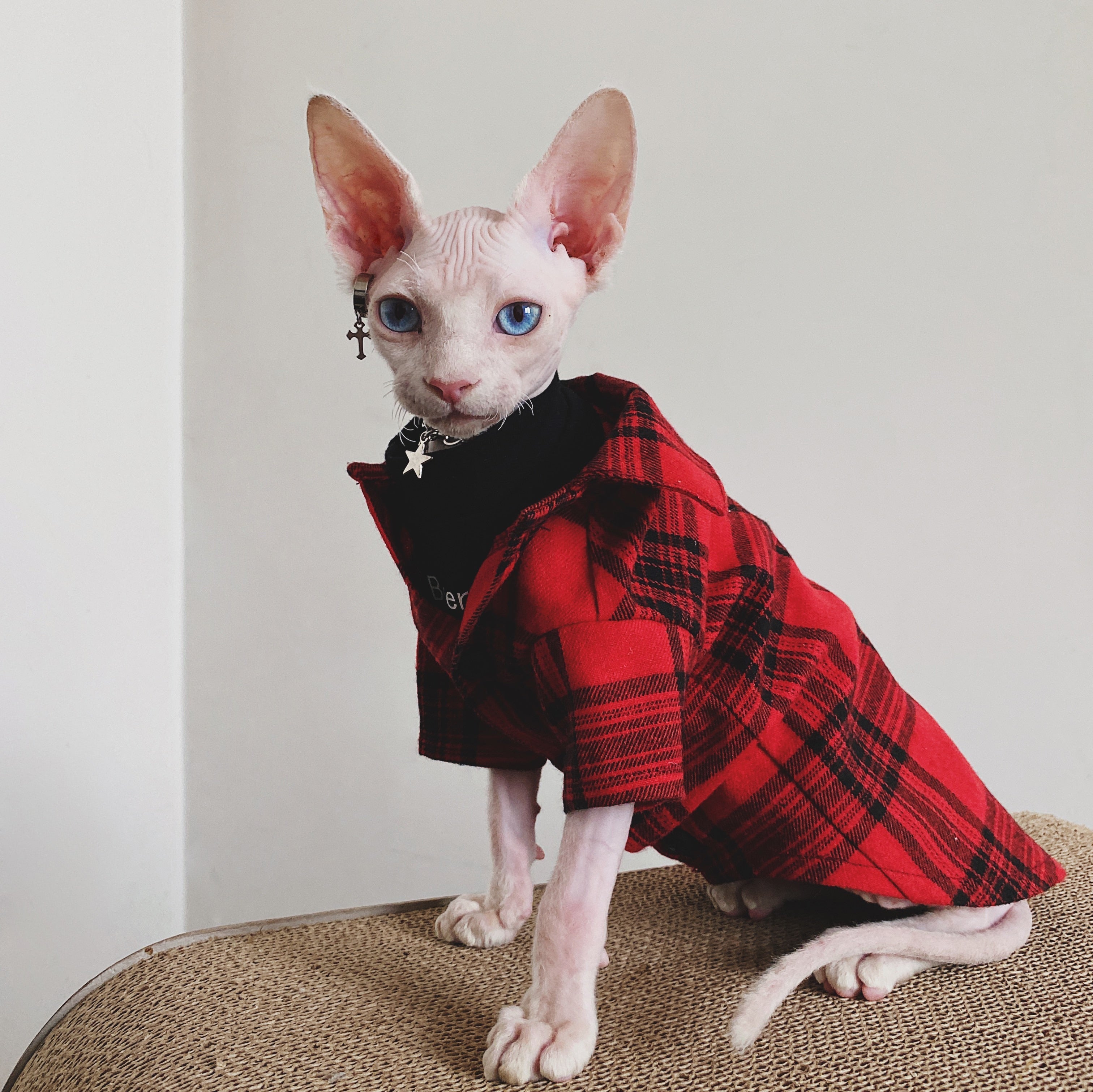 Flannel Shirt for Cat
