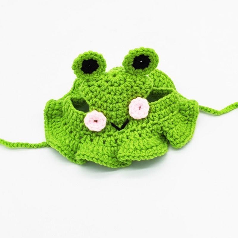 Frog winter hat for cat