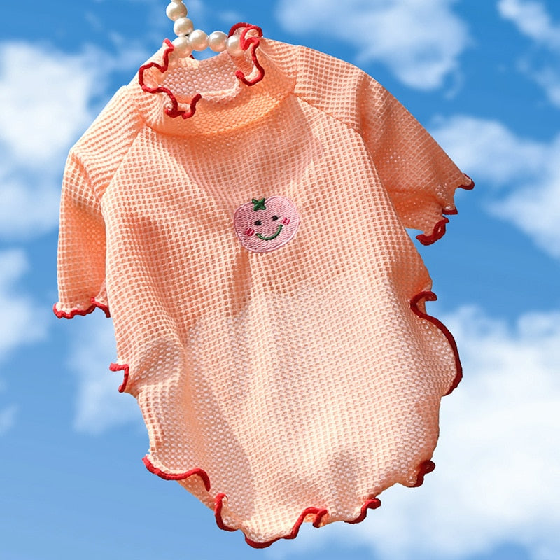 Fruit Clothes for Cats