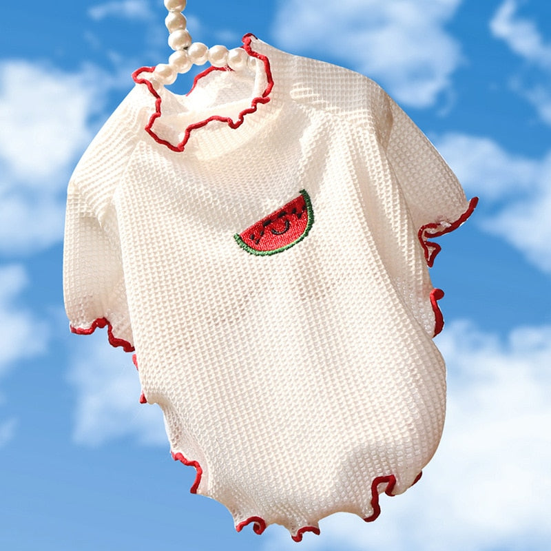 Fruit Clothes for Cats