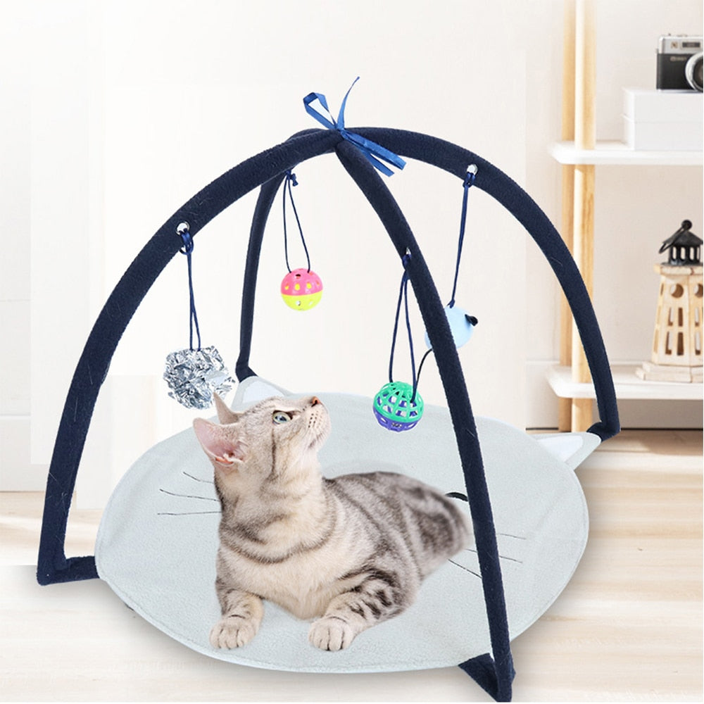 Funny Cat Bed