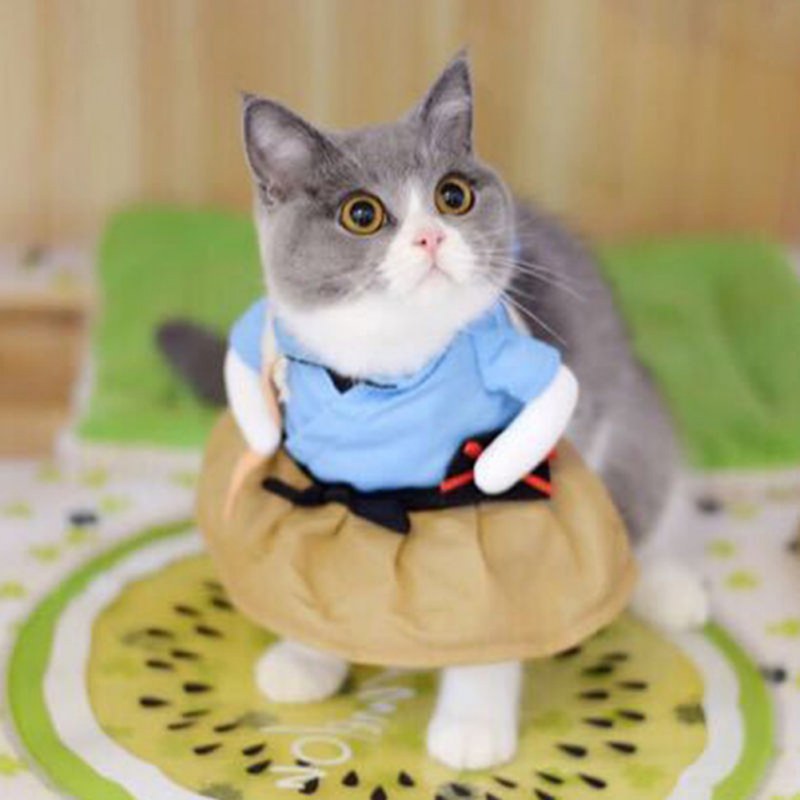Funny Costumes for Cats