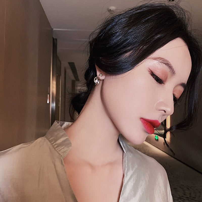 Gold Star and Moon Cat Earrings