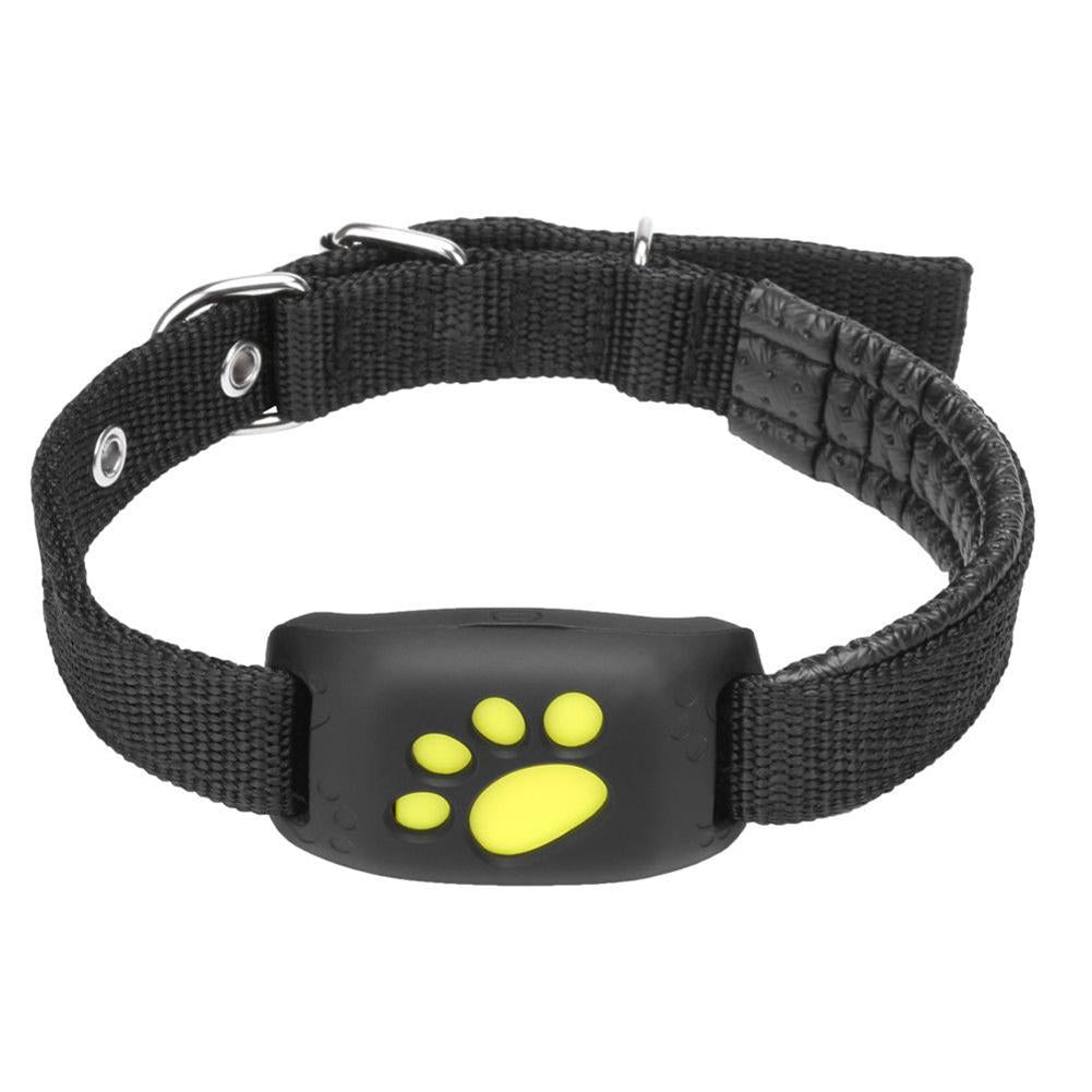 GPS Cat Collars