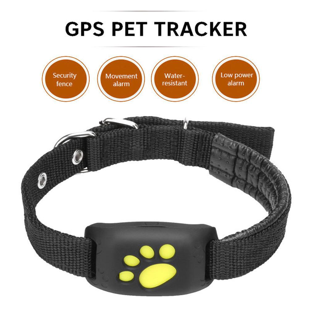 GPS Cat Collars