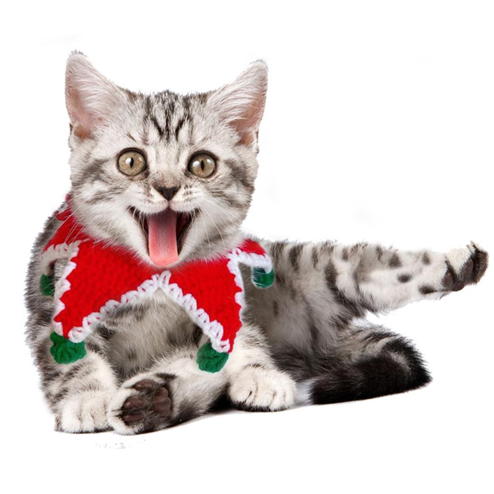 Grinch costume for Cats