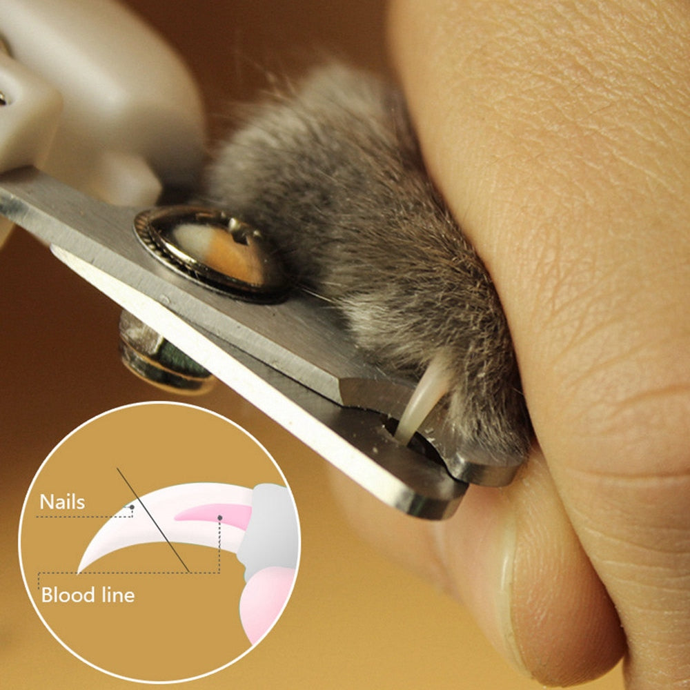 Guillotine Nail Clipper Cat