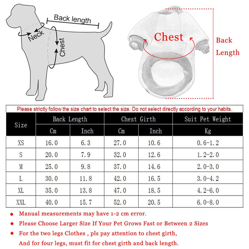 Halloween Costumes for Cat