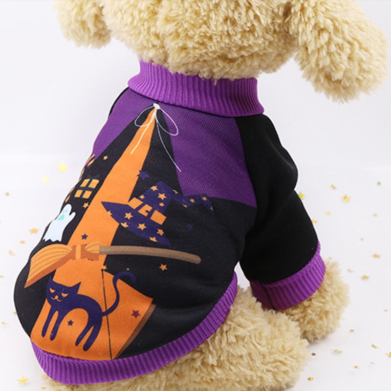 Halloween Costumes for Cat