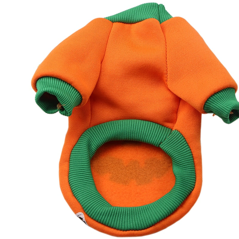 Halloween Costumes for Cat