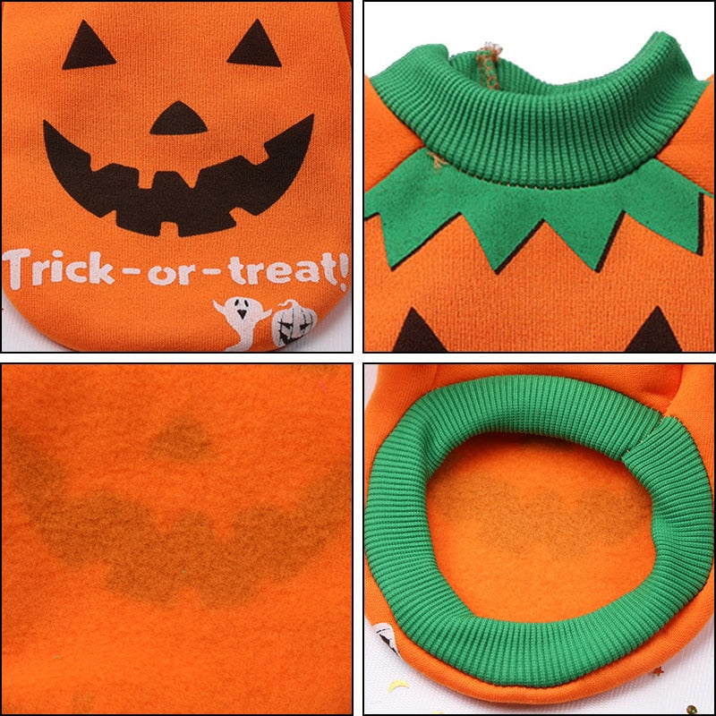 Halloween Costumes for Cat