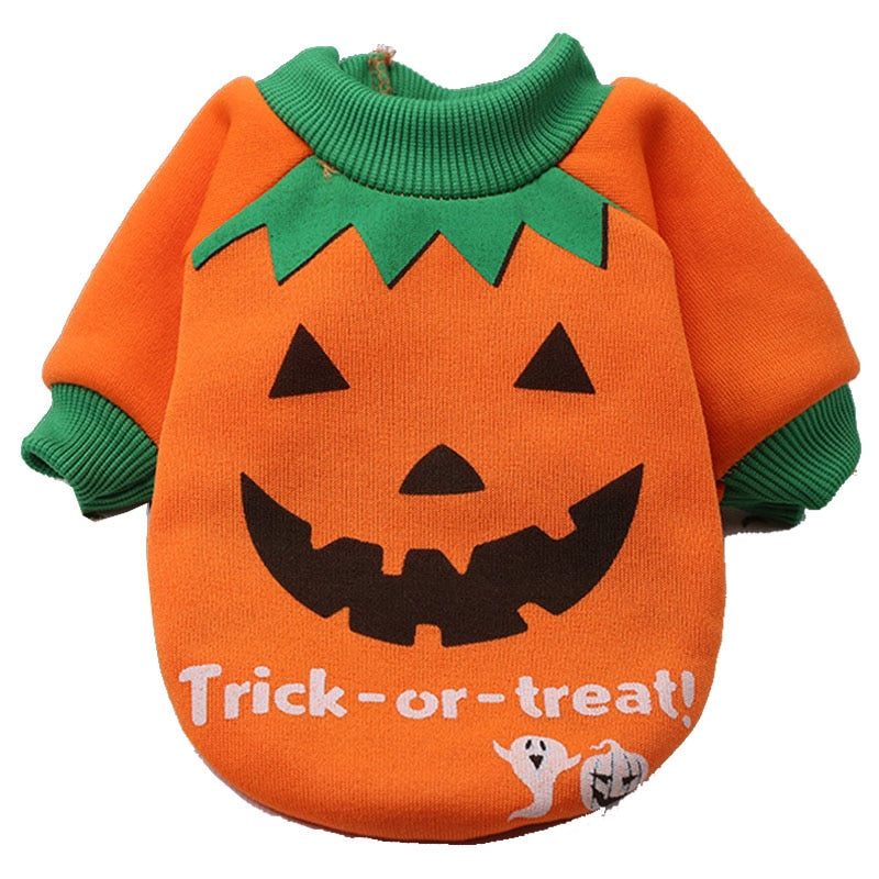 Halloween Costumes for Cat