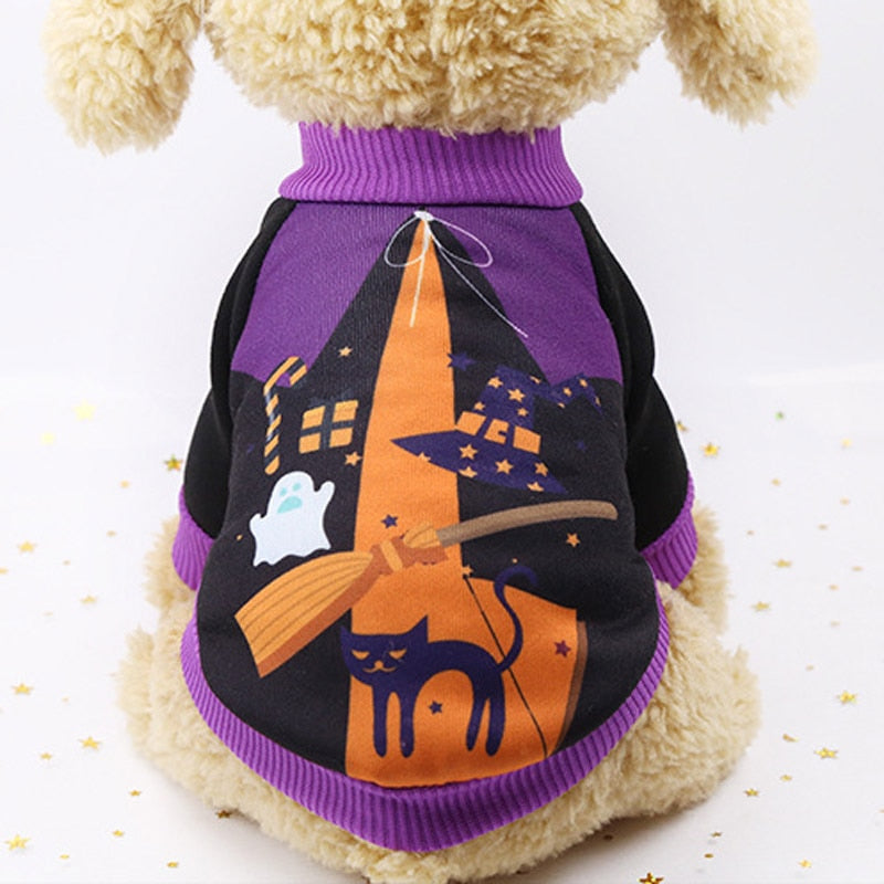 Halloween Costumes for Cat