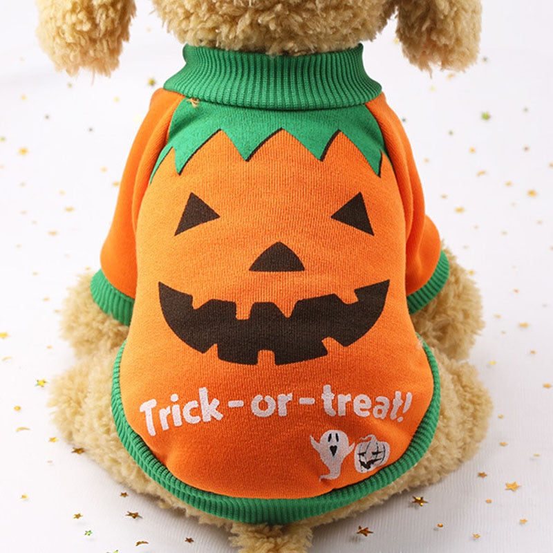 Halloween Costumes for Cat