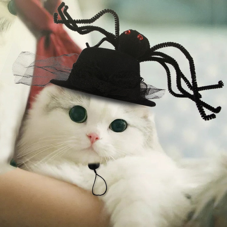 Halloween Hats for Cats