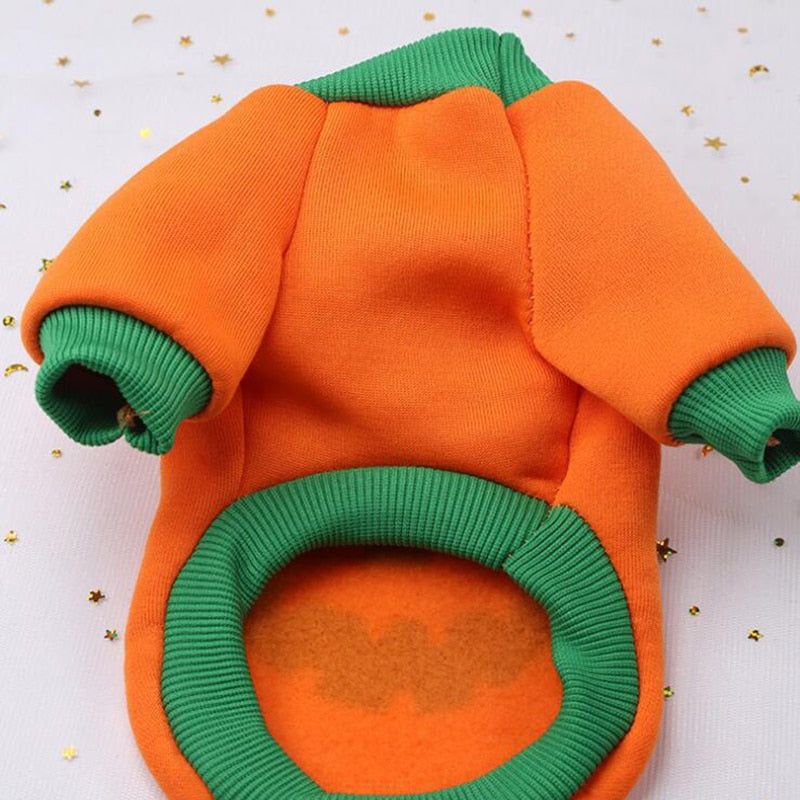 Halloween Shirts for Cats