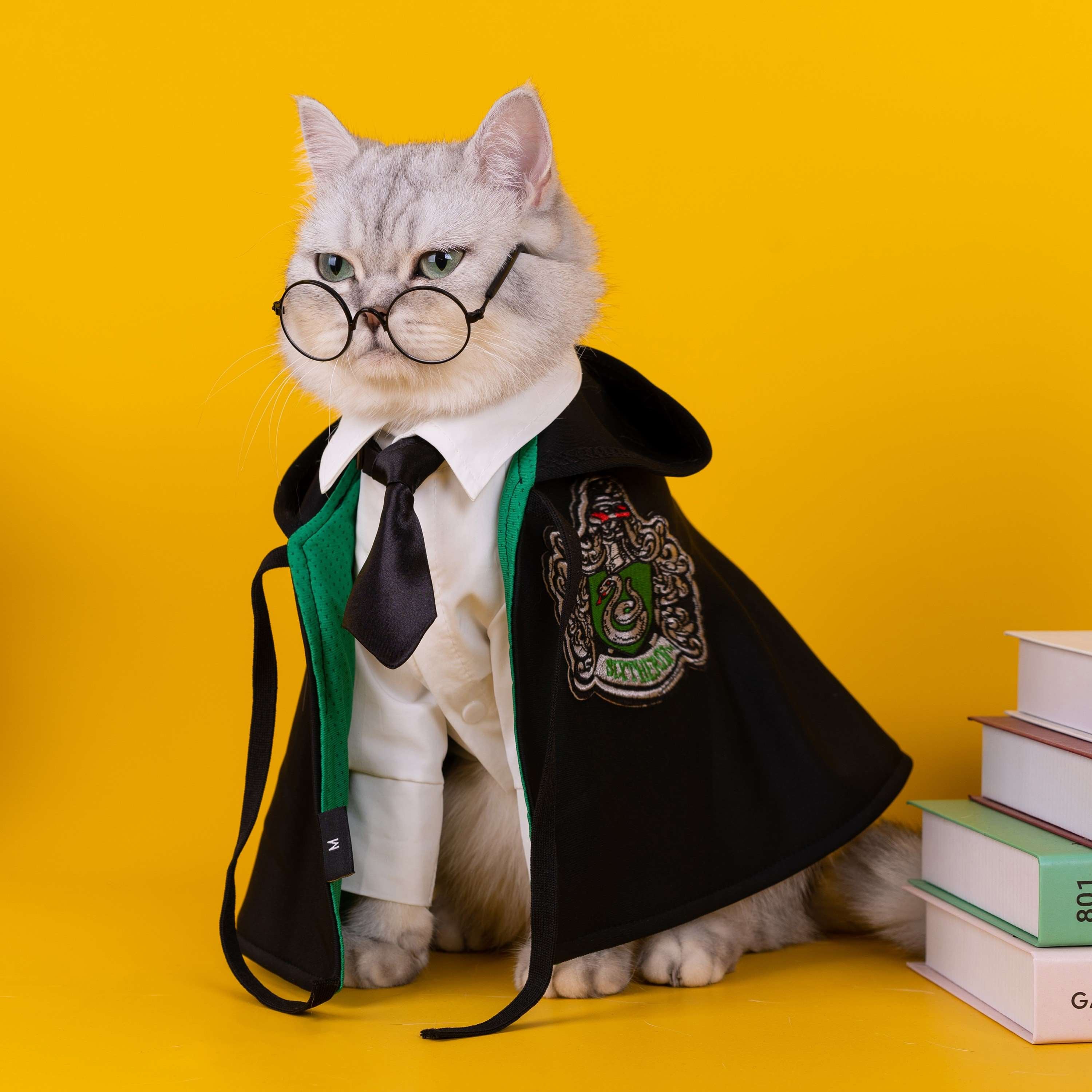 Harry Potter Costume for Cats