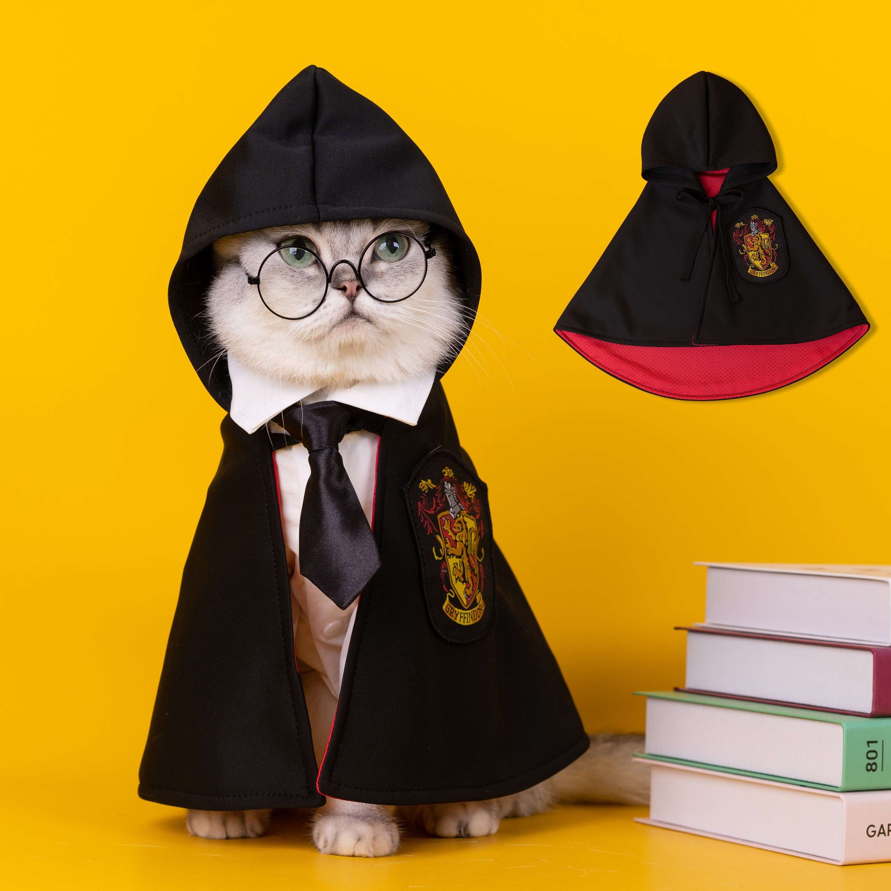 Harry Potter Costume for Cats