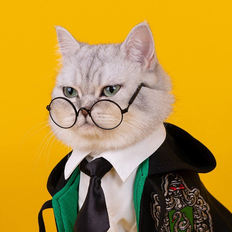 Harry Potter Costume for Cats
