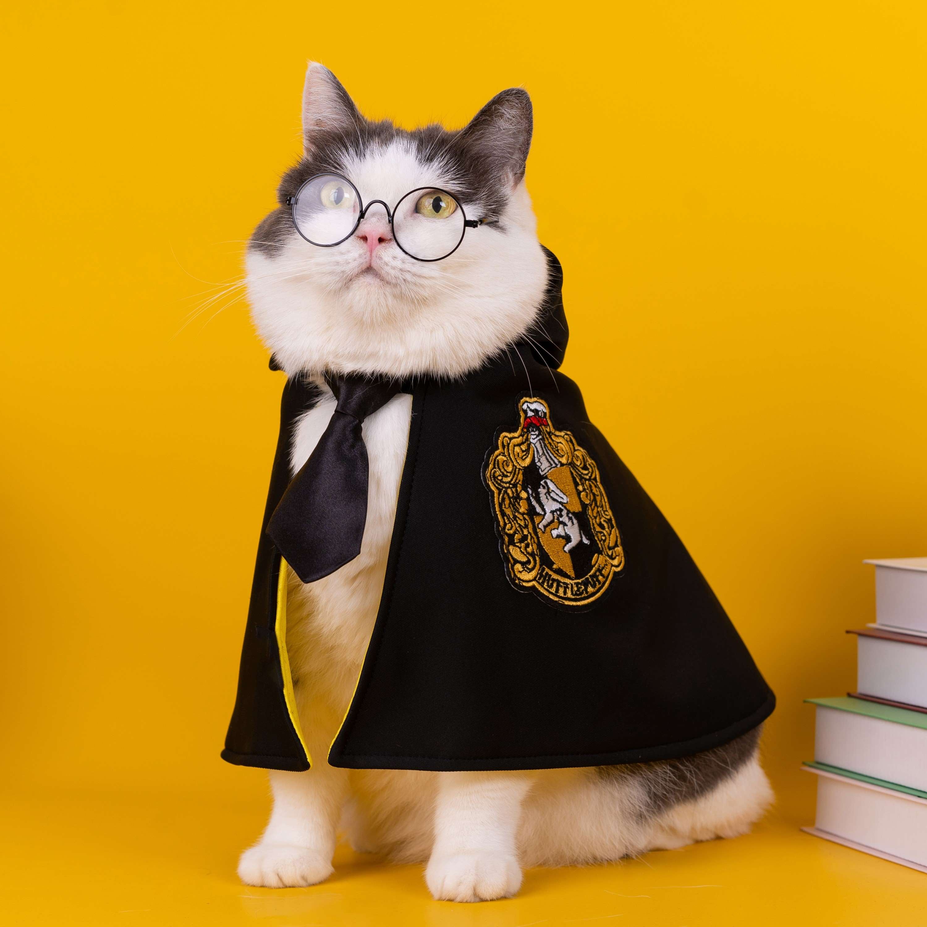 Harry Potter Costume for Cats