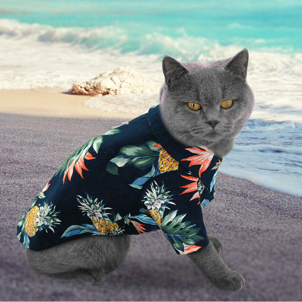 Hawaiian Clothes for Cats