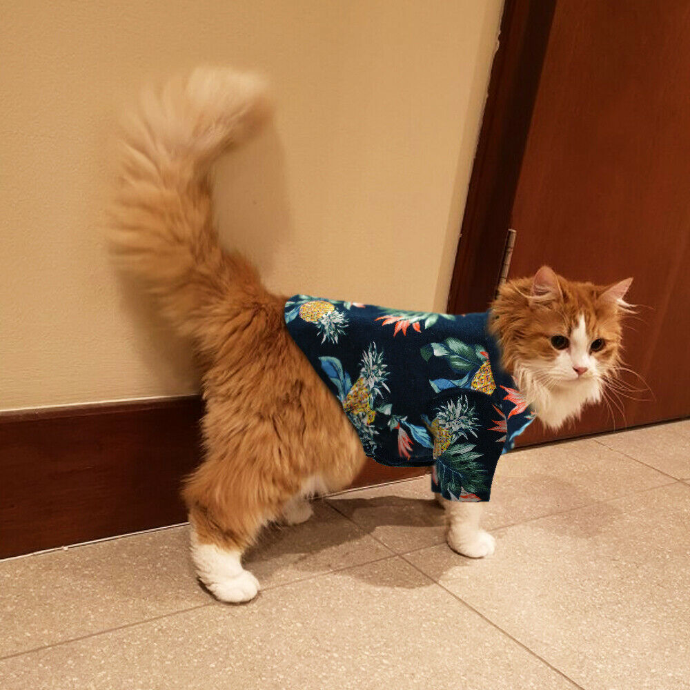 Hawaiian Clothes for Cats