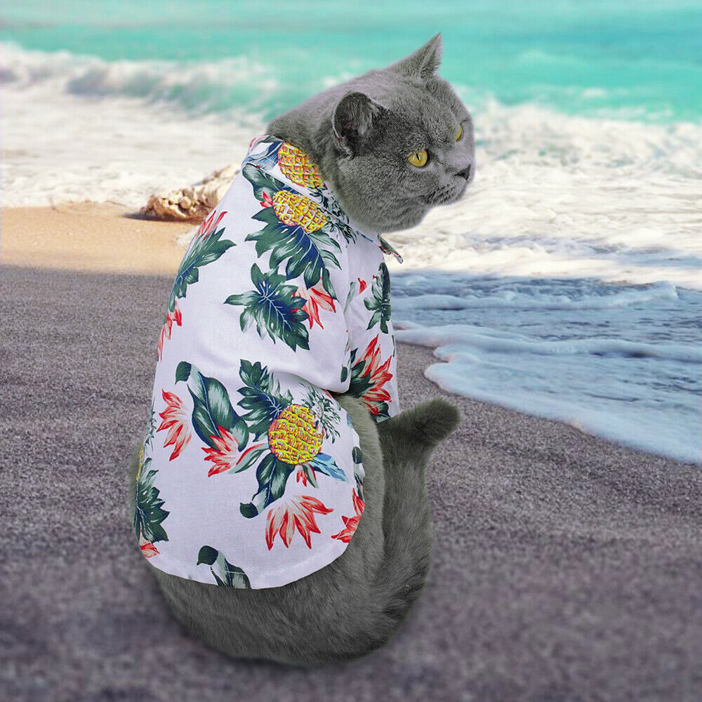 Hawaiian Clothes for Cats