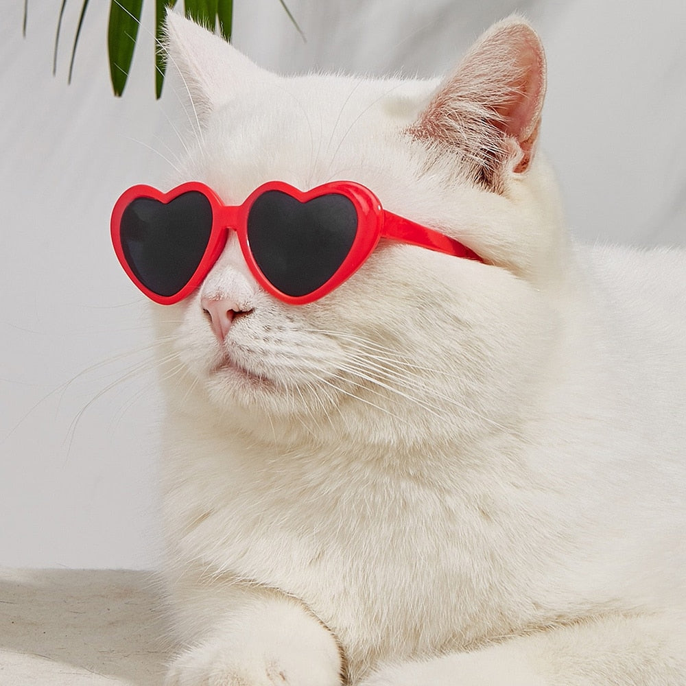 Heart Cat Sunglasses