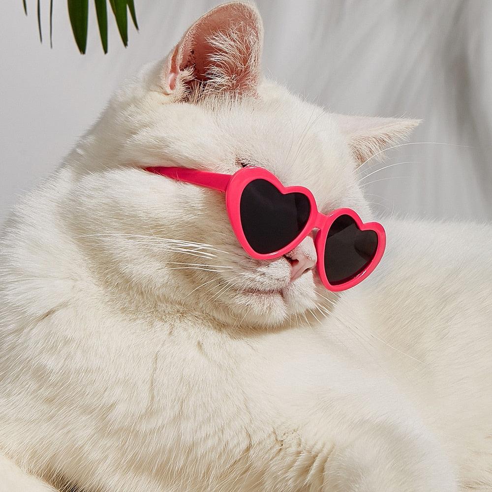 Heart Cat Sunglasses