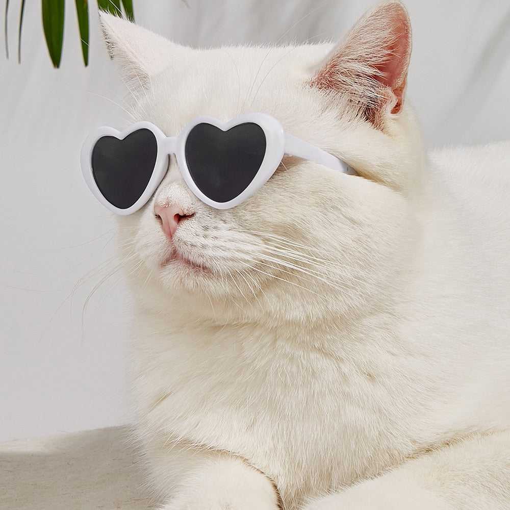Heart Cat Sunglasses