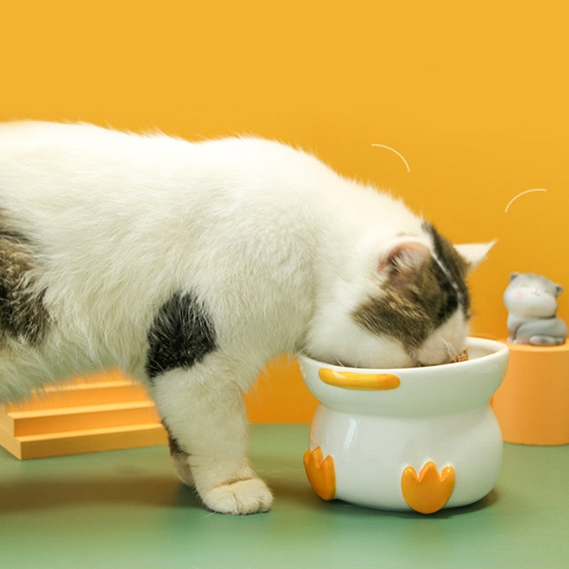 Heavy Water Bowl for Cats