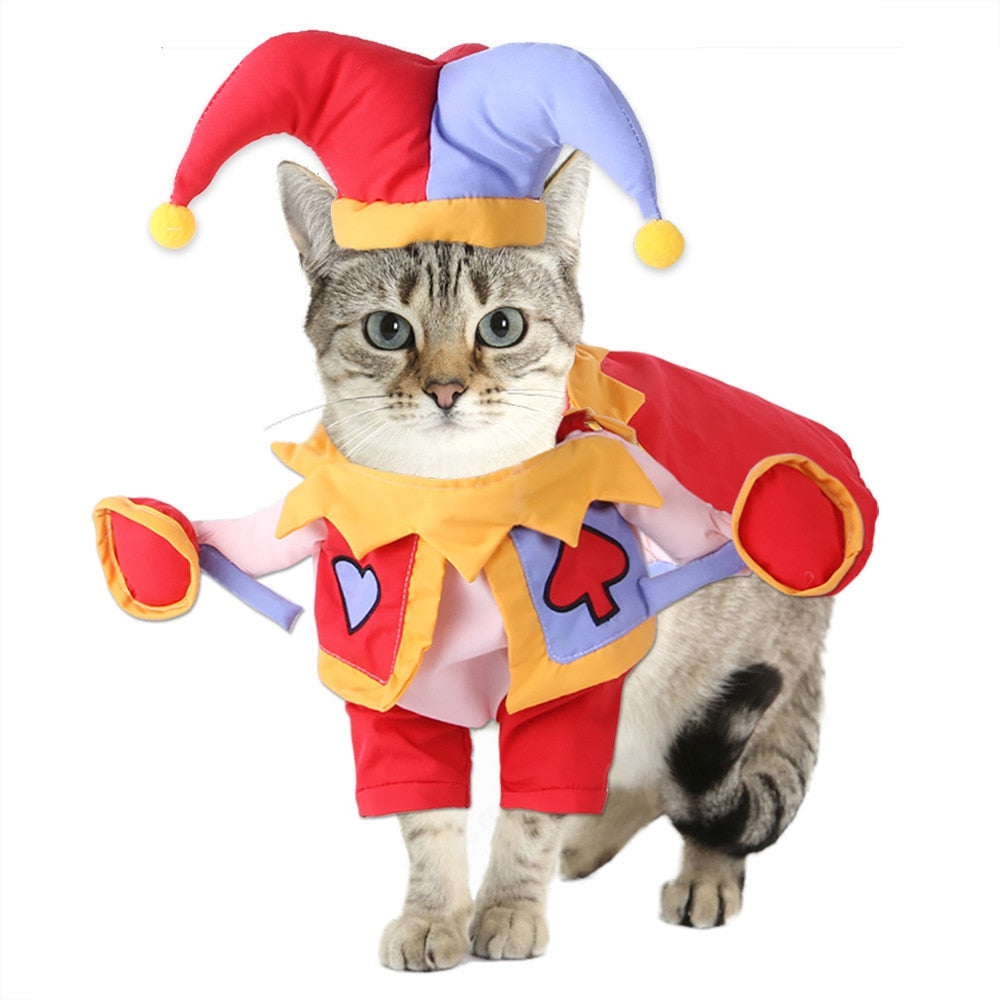 Jester Cat costume