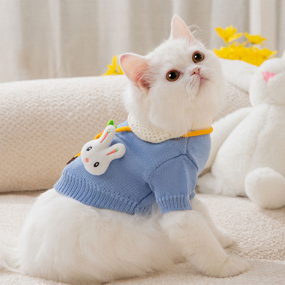 Knitted Clothes for Cats