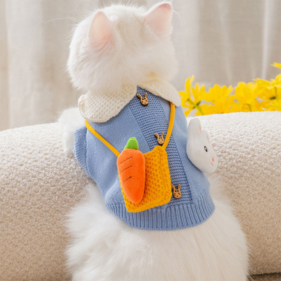Knitted Clothes for Cats