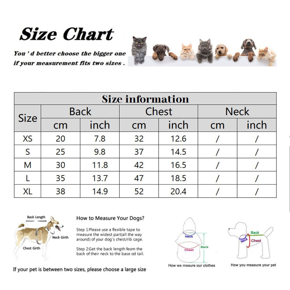 Knitted Clothes for Cats