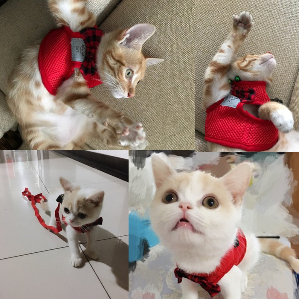 Large Cat Harness
