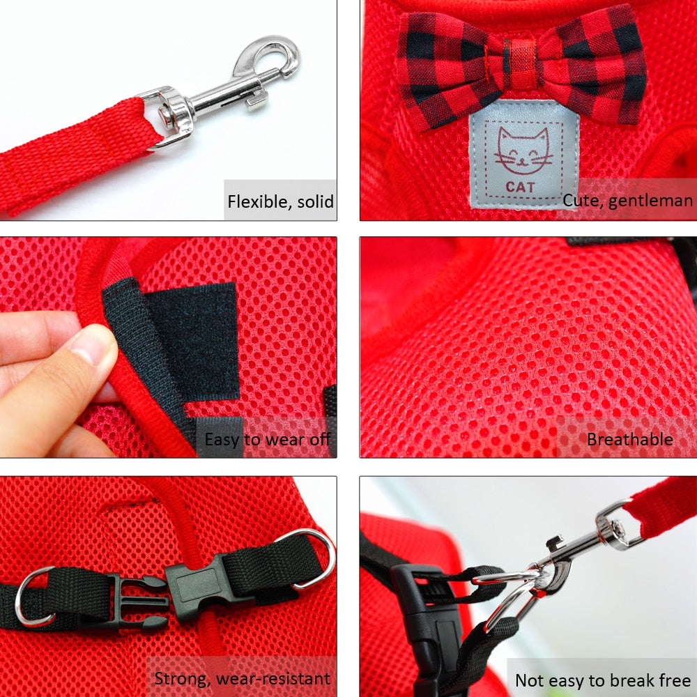 Large Cat Harness