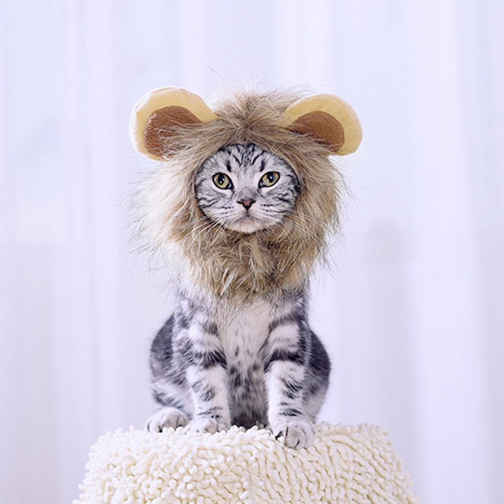 Lion Hat for Cat