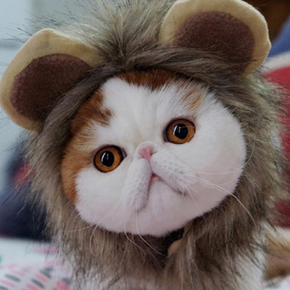 Lion Hat for Cat