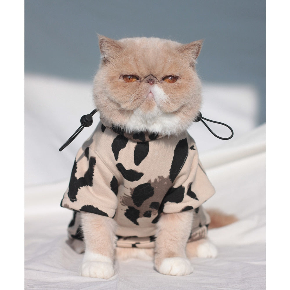 Luxury Clothes for Cats