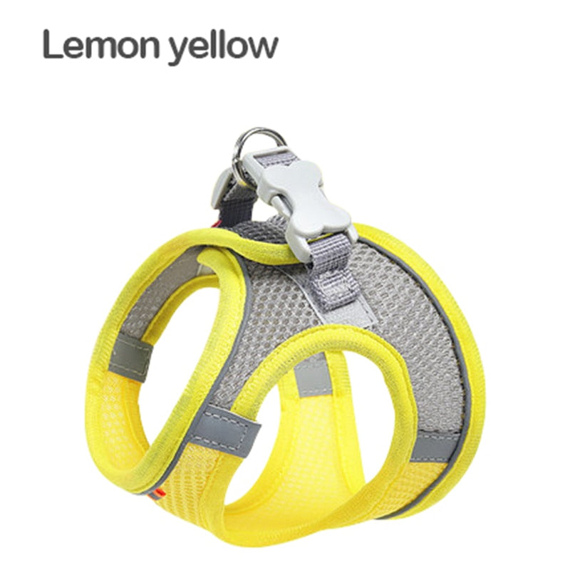 Mesh Cat Harness