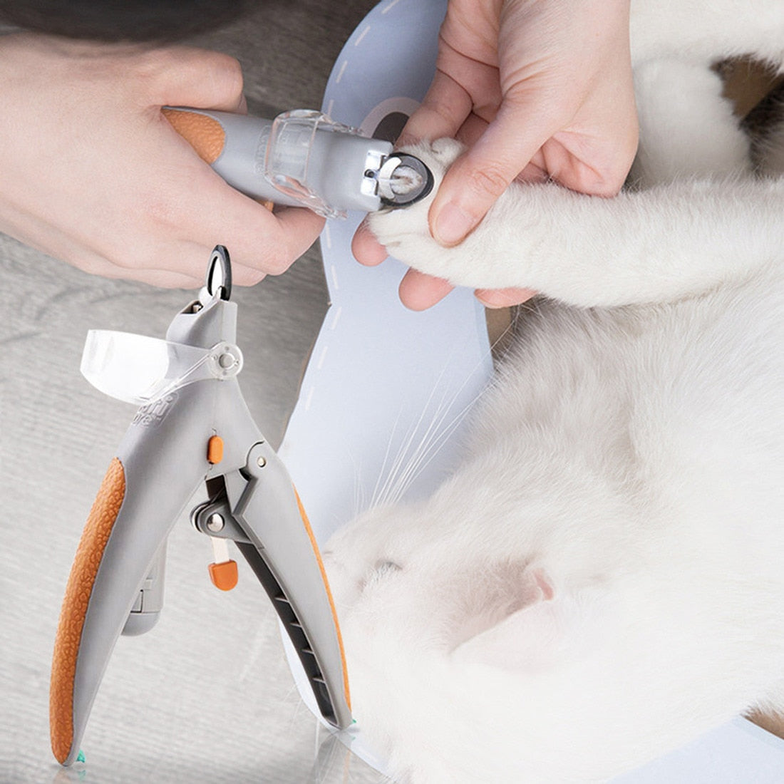Nail Clipper Cat