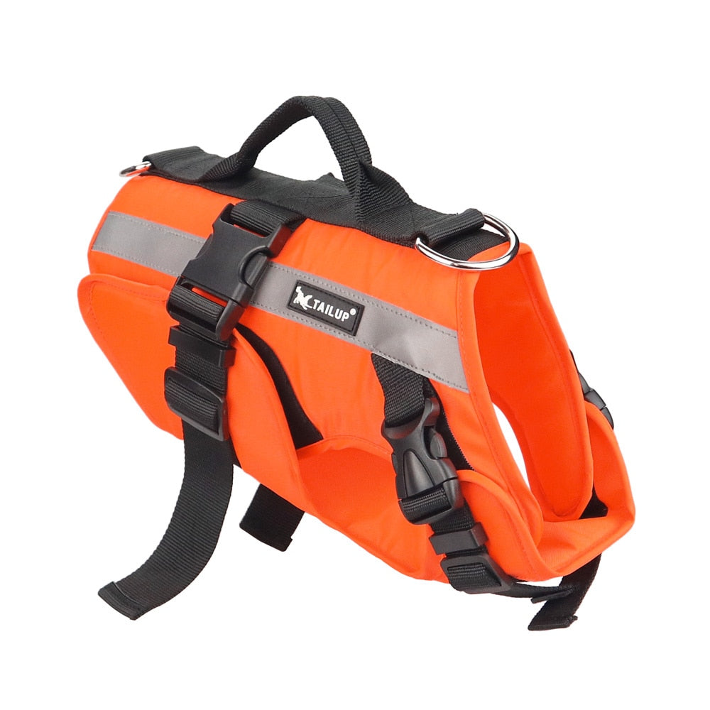Orange Life Jackets for Cats
