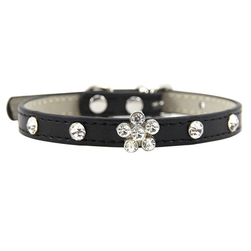 Pretty Cat Collars