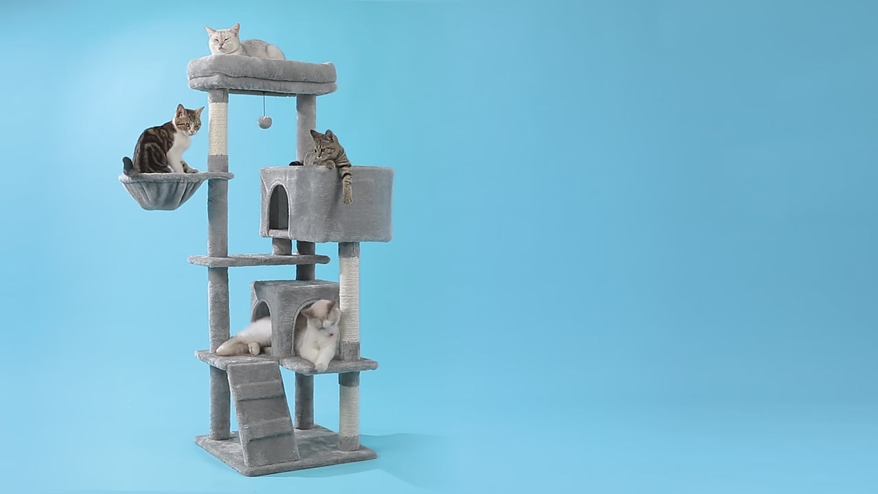 Video: tiragraffi per gatti 143 cm CozyTree™ – presentazione multi-livello con amaca, 2 condo e sisal naturale