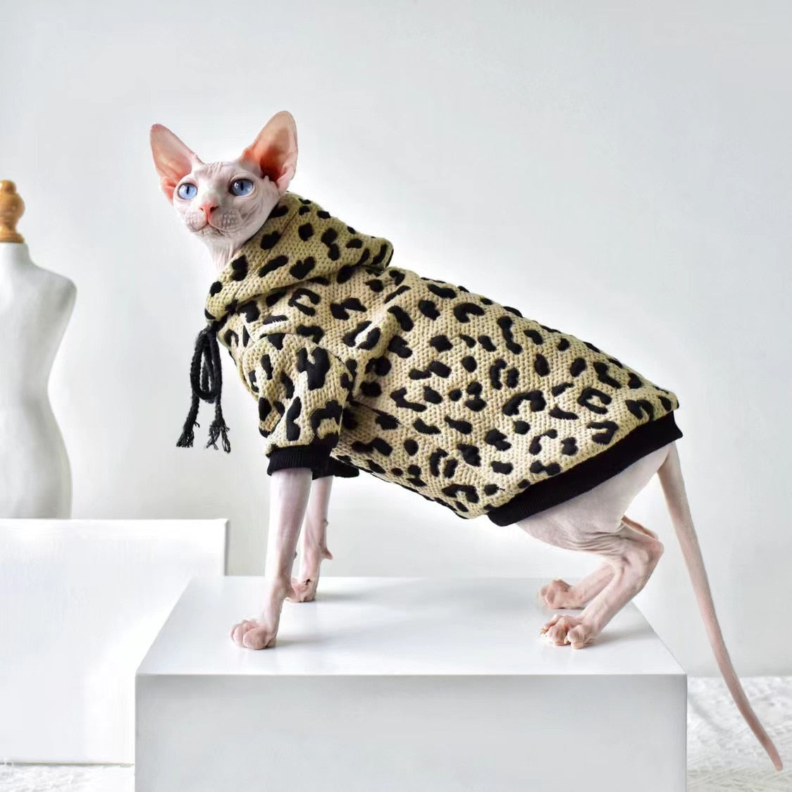 Pullover Clothes for Cats